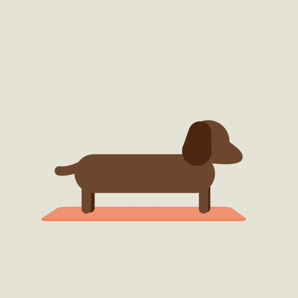 Yoga_Dog_Dacke_Theda-Ideker Dackel Illustration, Animation | Motion Design Freelancer