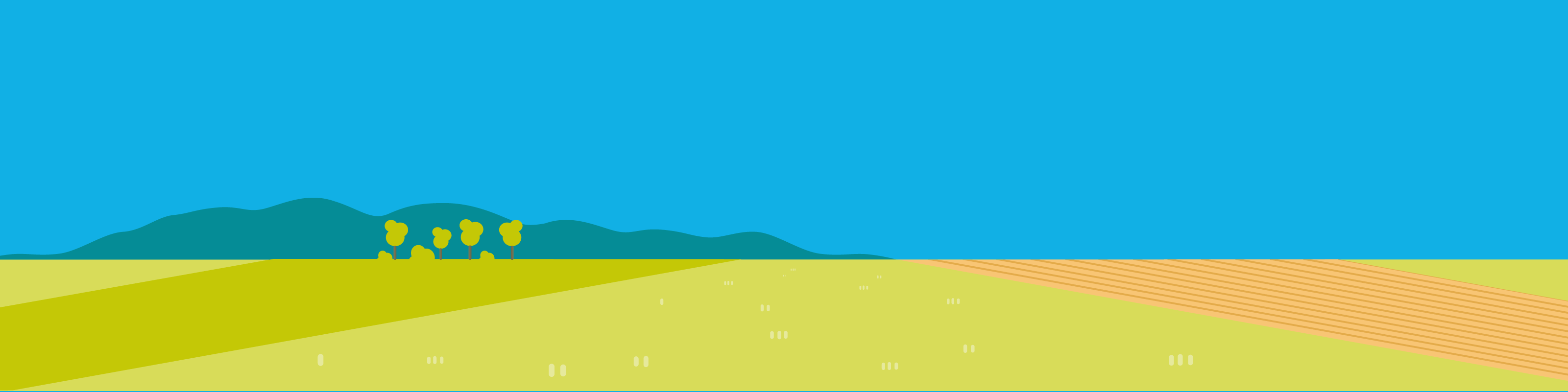 Landschaft Illustration, Animation, Erklärvideo, Motion Design | CC Buchner