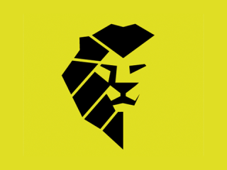 Kampfsport Logo Raion